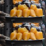 InShot_20241223_064544002