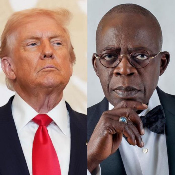 InShot_20251031_225218610