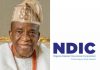 Samuel Adedoyin Tackles NDIC Over Malign Publication