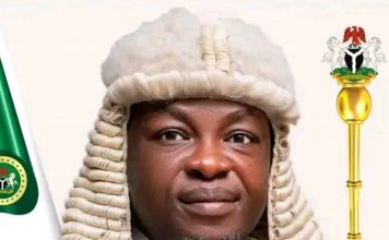 Adamawa Assembly Speaker, 14 Lawmakers Resign From PDP