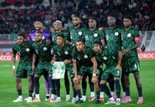 NFF: Why Nigeria must follow the rules, not sentiments By Ken Ekwueme