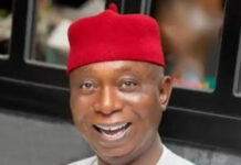 Ned Nwoko Emerges Business DayTop 10 Senators of the 10th National Assembly